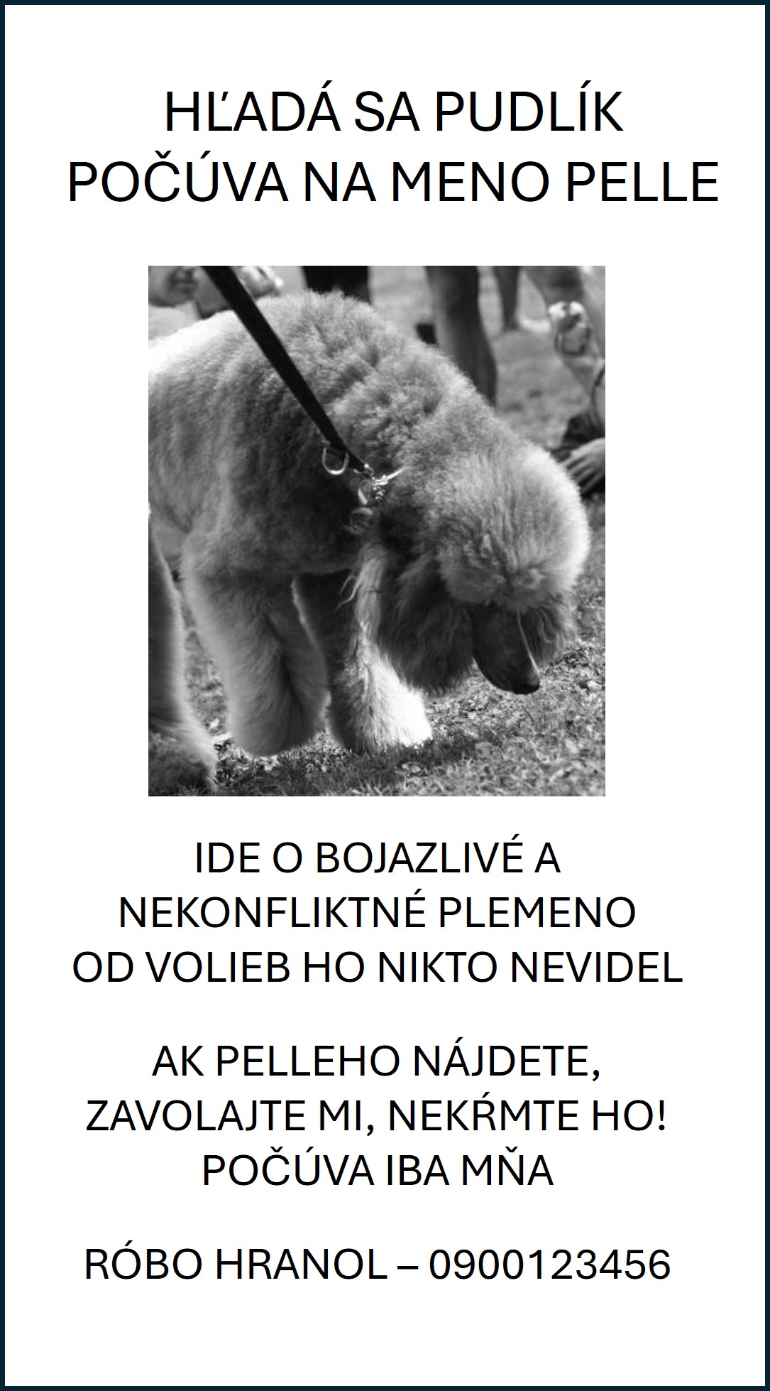 HľadáSaDebo